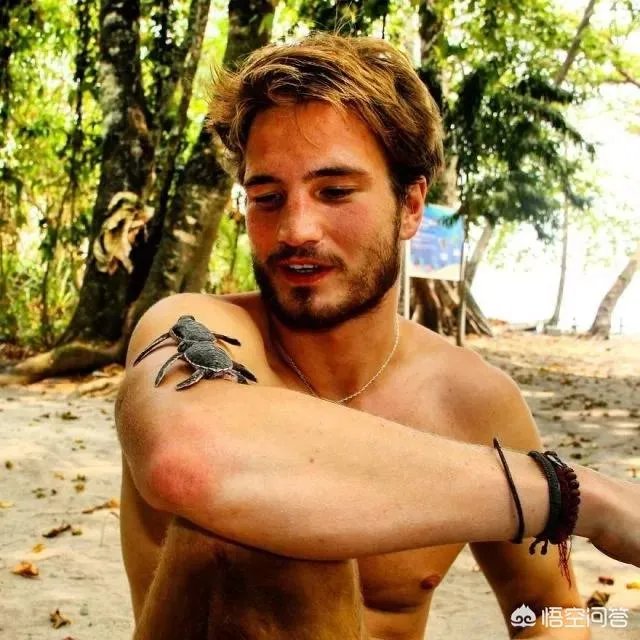 别人家的老师你喜欢哪点？