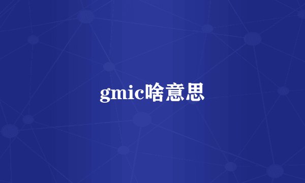 gmic啥意思