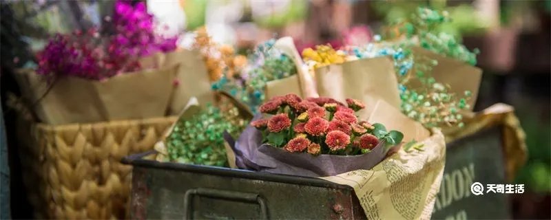 过生日送什么花