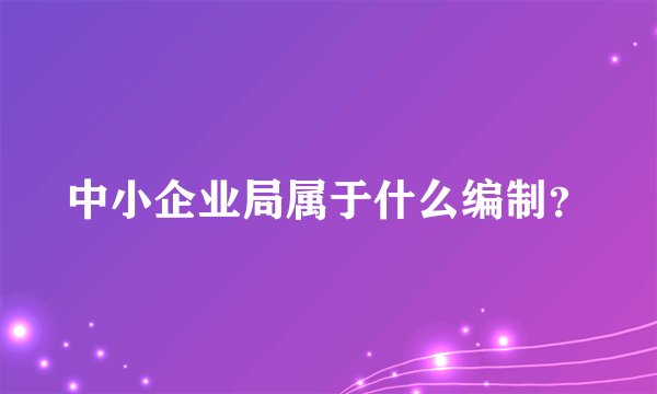 中小企业局属于什么编制？