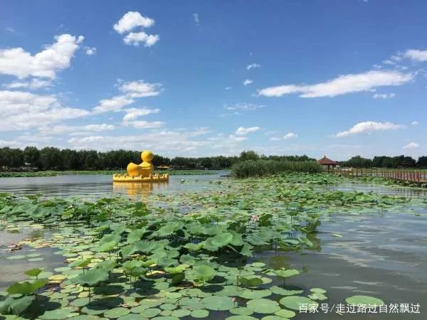 保定景区，十大排名是怎样得？