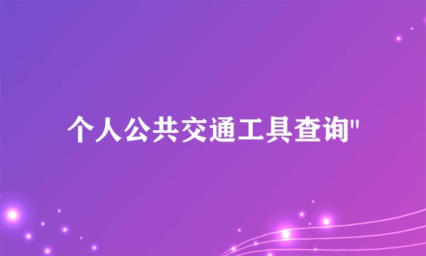 个人公共交通工具查询