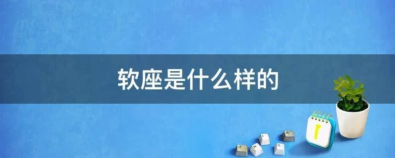 软座是什么样的