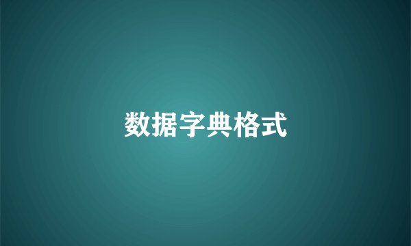 数据字典格式