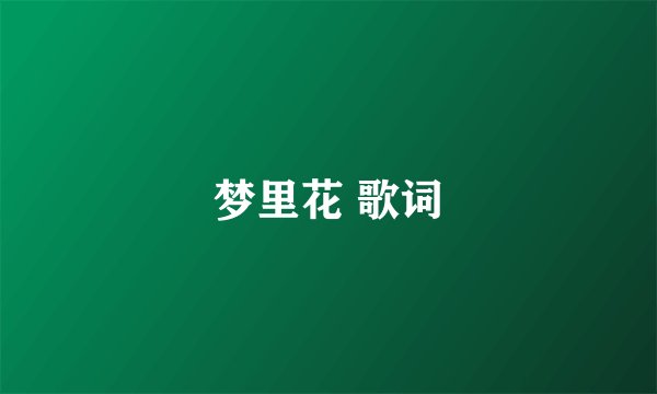 梦里花 歌词