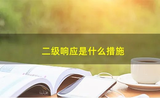 二级响应是什么措施