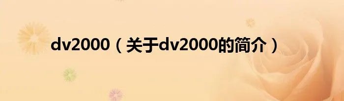 dv2000（关于dv2000的简介）