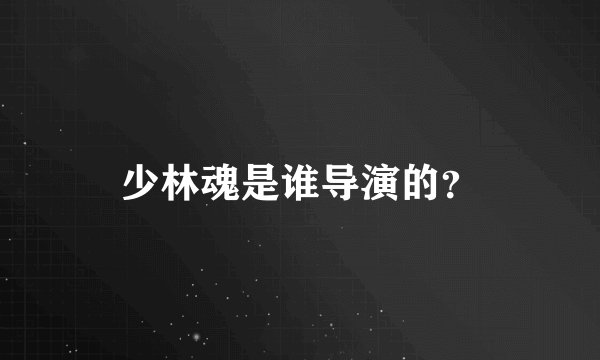 少林魂是谁导演的？