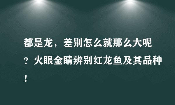 都是龙，差别怎么就那么大呢？火眼金睛辨别红龙鱼及其品种！