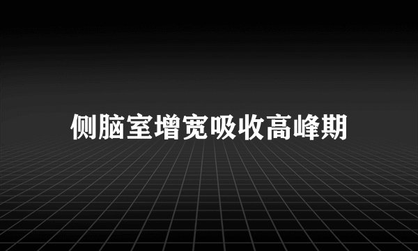 侧脑室增宽吸收高峰期