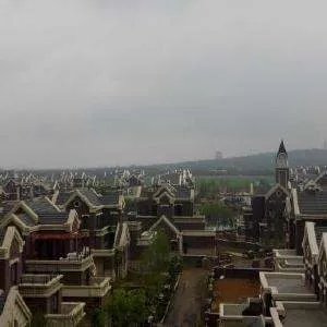 金雪松的个人经历