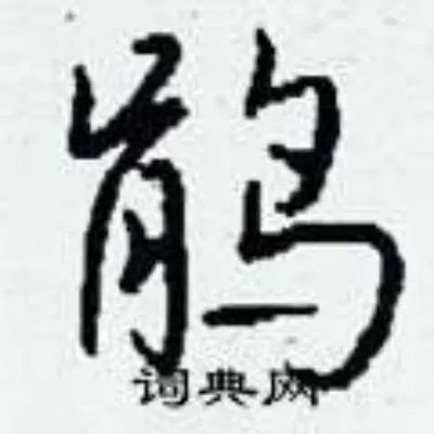 鹃组词_鹃字怎么组词_鹃组词有哪些_带鹃字的词语