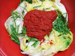 正宗韩国辣白菜的简单做法