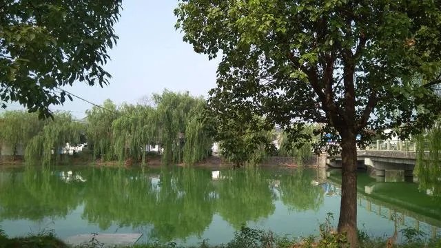 我挂半副联：苏州才子唐伯虎，下联谁来挂？