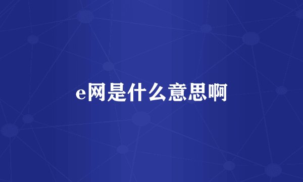 e网是什么意思啊