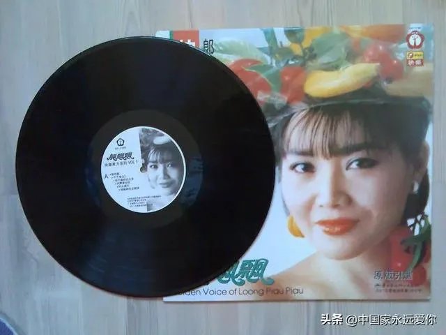 龙飘飘经典老歌50首歌词