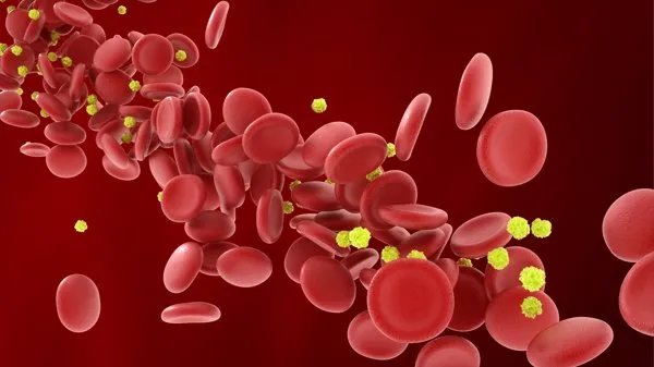 p型血是怎么产生的