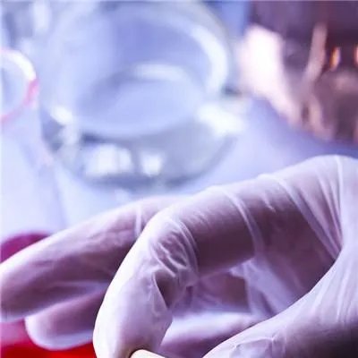 鹿胎膏的功效与作用有哪些