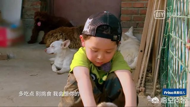 邓莎家的大麟子你们喜欢吗？