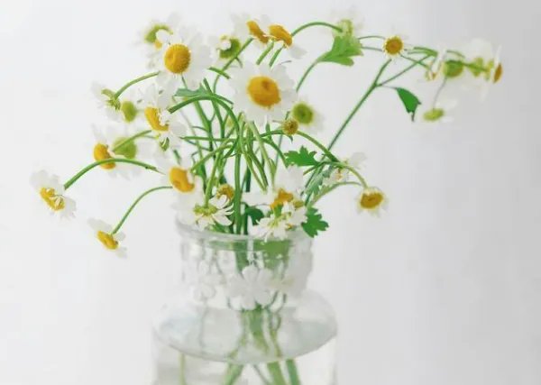 花店不开了，花继续开。这句话什么意思