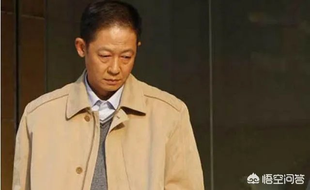 你怎么看电视剧《归去来》中王志文扮演的书望？