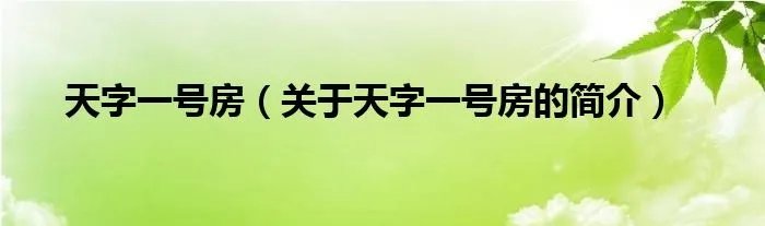 天字一号房（关于天字一号房的简介）