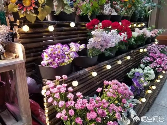 自驾游，你遇到过艳遇吗？哪里的景区才能遇到？