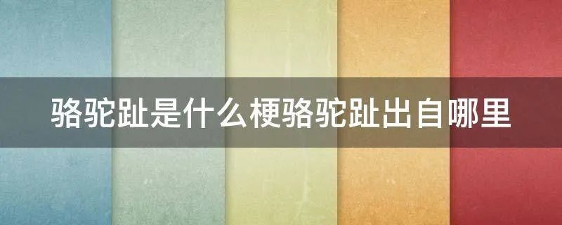 骆驼趾是什么梗骆驼趾出自哪里