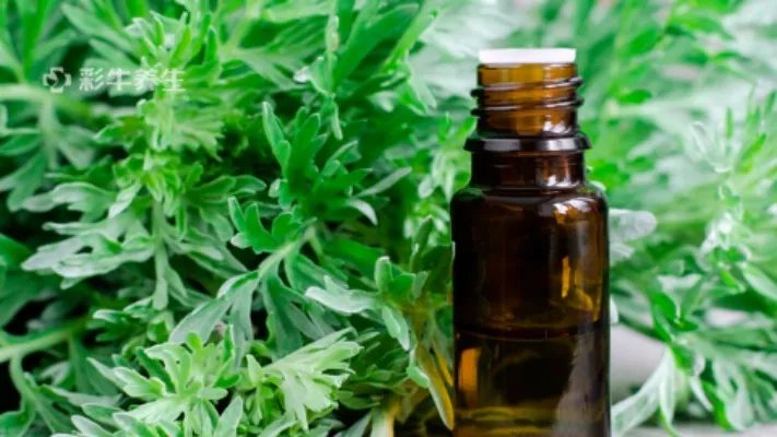 艾蒿的功效与作用