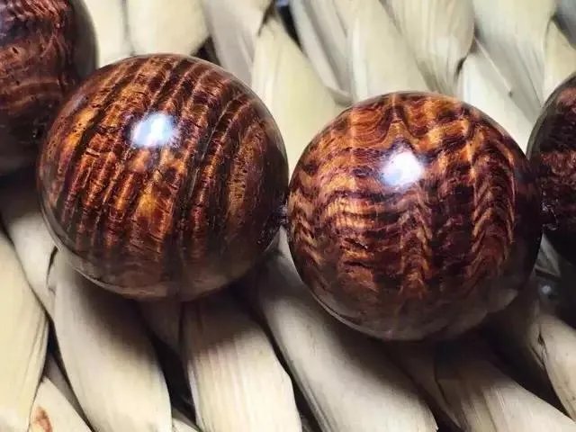 什么是真正的海黄？