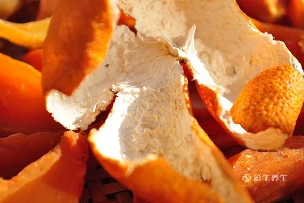 橙子皮泡水喝有什么好处