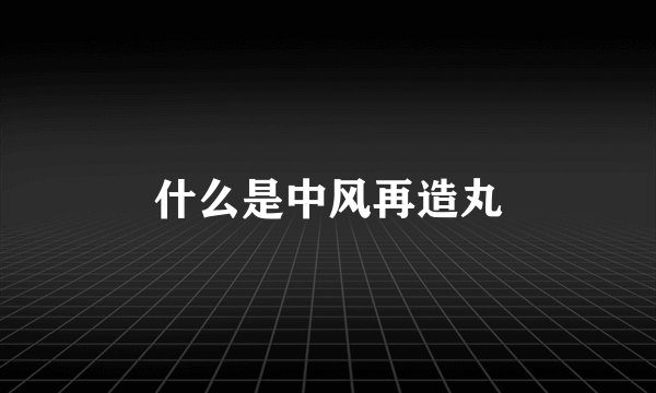 什么是中风再造丸
