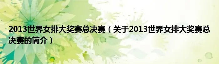 2013世界女排大奖赛总决赛（关于2013世界女排大奖赛总决赛的简介）