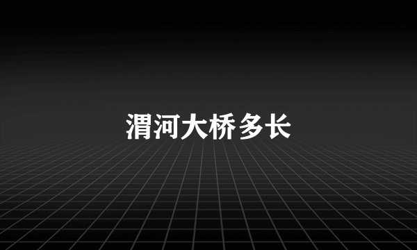 渭河大桥多长
