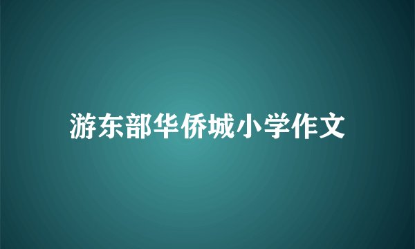 游东部华侨城小学作文