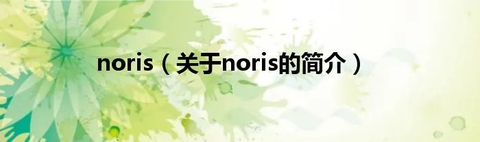 noris（关于noris的简介）