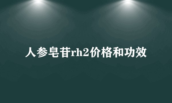 人参皂苷rh2价格和功效