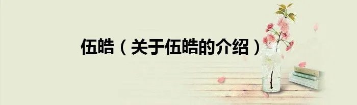 伍皓（关于伍皓的介绍）