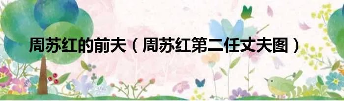 周苏红的前夫（周苏红第二任丈夫图）