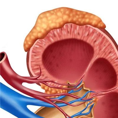 肾亏是什么原因