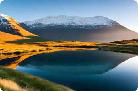 鼓励的反义词是什么