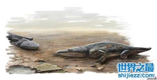 虾蟆螈以吃恐龙生存 已灭绝的史前恐怖生物 