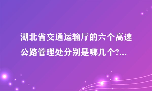 湖北省交通运输厅的六个高速公路管理处分别是哪几个?除了黄黄、武黄和随岳外，那叁是什么呀？