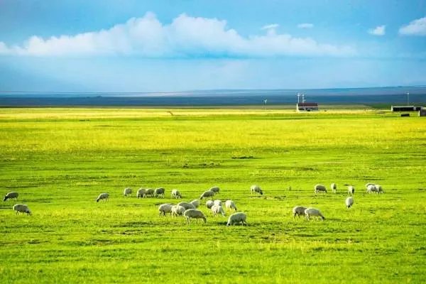 六年级上册语文第一课是什么课文？