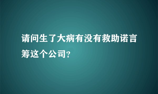 请问生了大病有没有救助诺言筹这个公司？