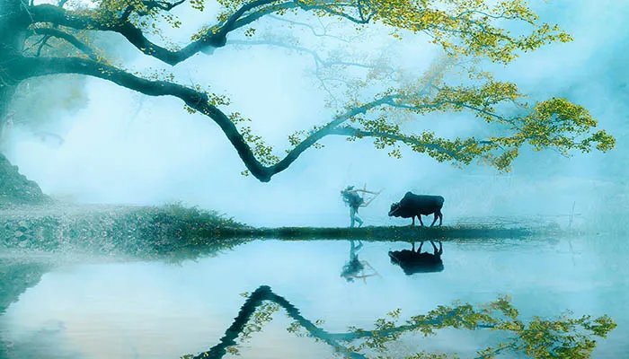 2022年清明节是几月几日 2022年清明是什么时候