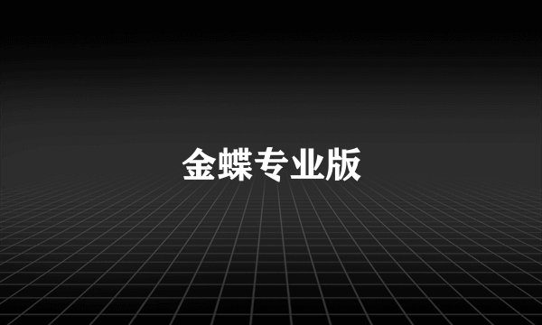 金蝶专业版
