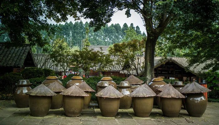 山西醋和镇江醋的区别 山西醋与镇江醋有什么区别