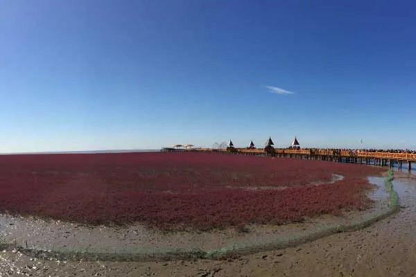 盘锦红海滩几月去最好 盘锦红海滩最佳旅游时间