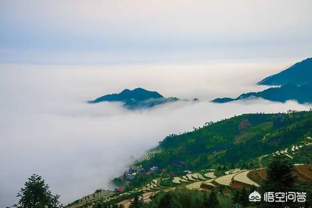 财会学习重要吗？